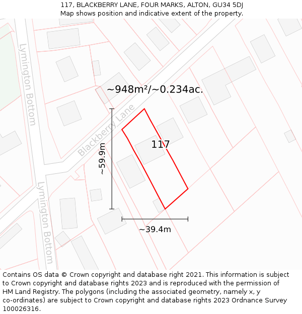 117, BLACKBERRY LANE, FOUR MARKS, ALTON, GU34 5DJ: Plot and title map