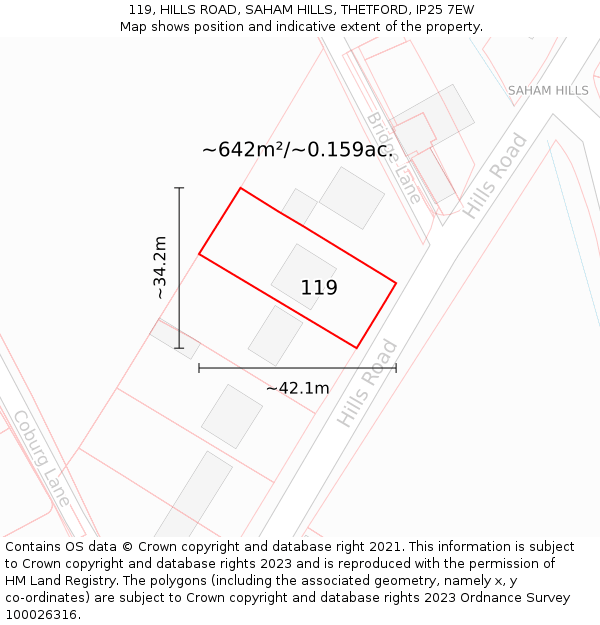 119, HILLS ROAD, SAHAM HILLS, THETFORD, IP25 7EW: Plot and title map