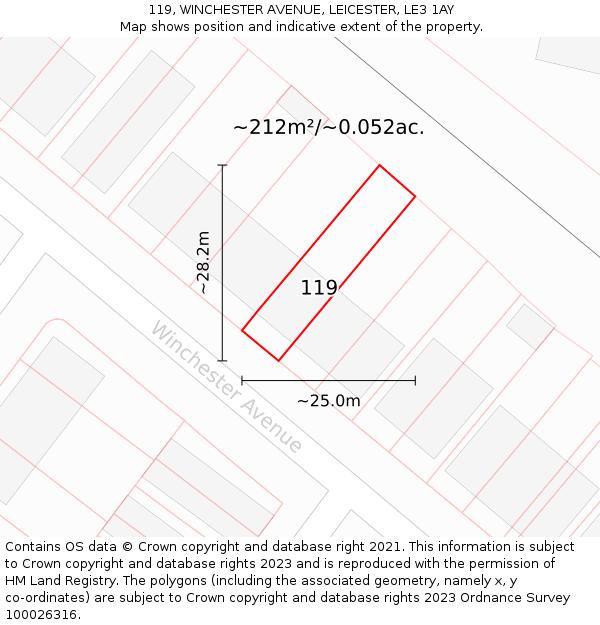 119, WINCHESTER AVENUE, LEICESTER, LE3 1AY: Plot and title map