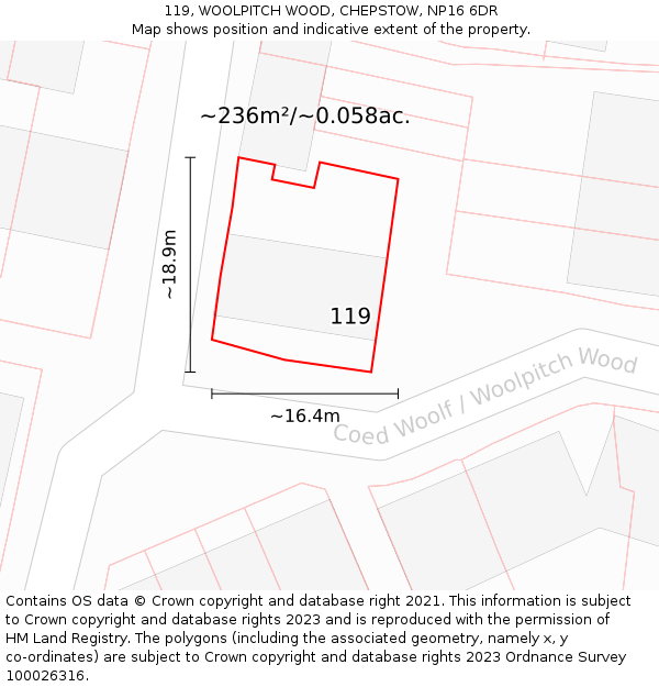 119, WOOLPITCH WOOD, CHEPSTOW, NP16 6DR: Plot and title map