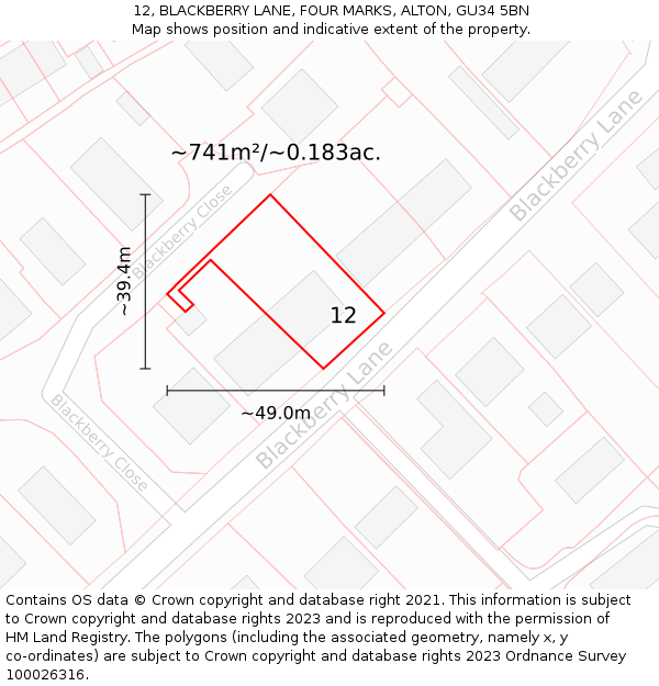 12, BLACKBERRY LANE, FOUR MARKS, ALTON, GU34 5BN: Plot and title map