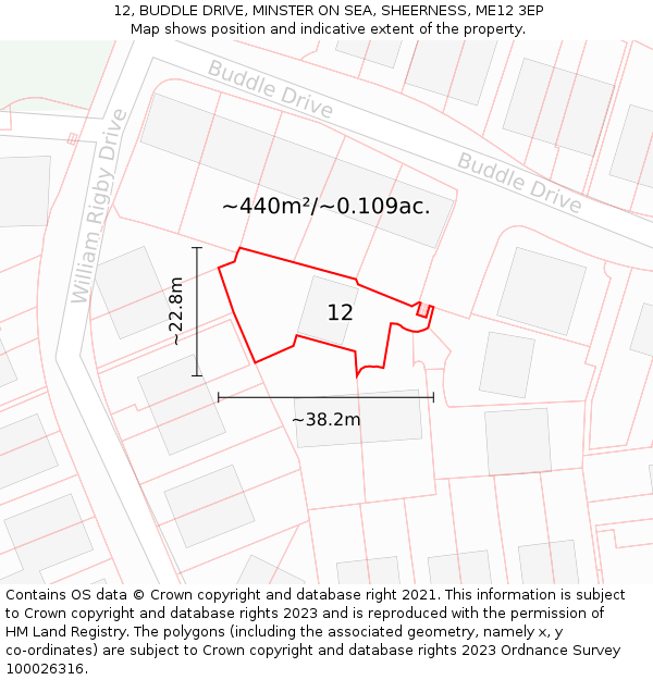 12, BUDDLE DRIVE, MINSTER ON SEA, SHEERNESS, ME12 3EP: Plot and title map