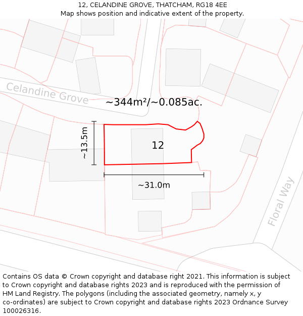 12, CELANDINE GROVE, THATCHAM, RG18 4EE: Plot and title map