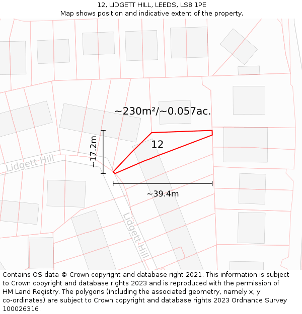 12, LIDGETT HILL, LEEDS, LS8 1PE: Plot and title map