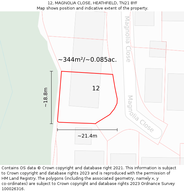 12, MAGNOLIA CLOSE, HEATHFIELD, TN21 8YF: Plot and title map