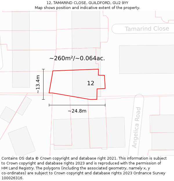 12, TAMARIND CLOSE, GUILDFORD, GU2 9YY: Plot and title map