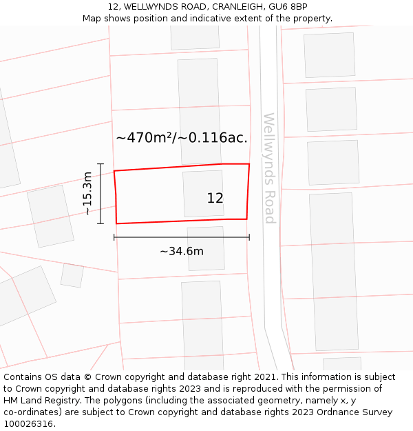 12, WELLWYNDS ROAD, CRANLEIGH, GU6 8BP: Plot and title map