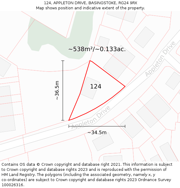 124, APPLETON DRIVE, BASINGSTOKE, RG24 9RX: Plot and title map