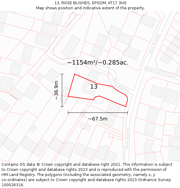 13, ROSE BUSHES, EPSOM, KT17 3NS: Plot and title map