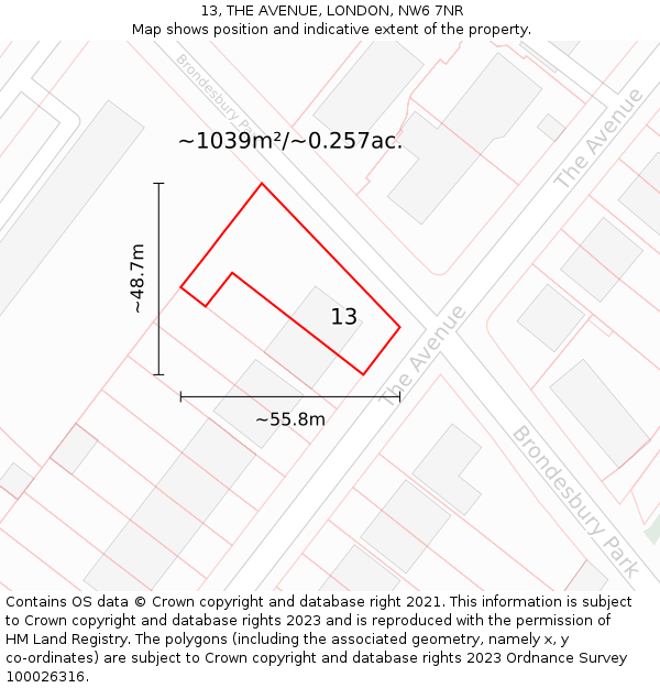13, THE AVENUE, LONDON, NW6 7NR: Plot and title map