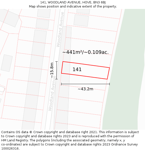 141, WOODLAND AVENUE, HOVE, BN3 6BJ: Plot and title map