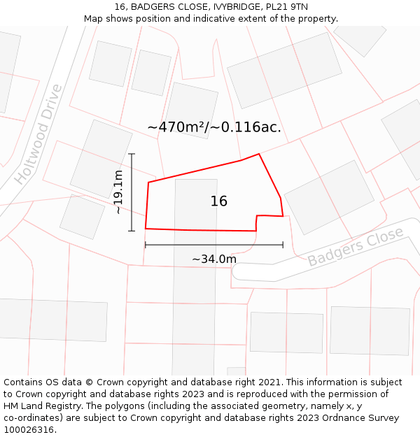 16, BADGERS CLOSE, IVYBRIDGE, PL21 9TN: Plot and title map