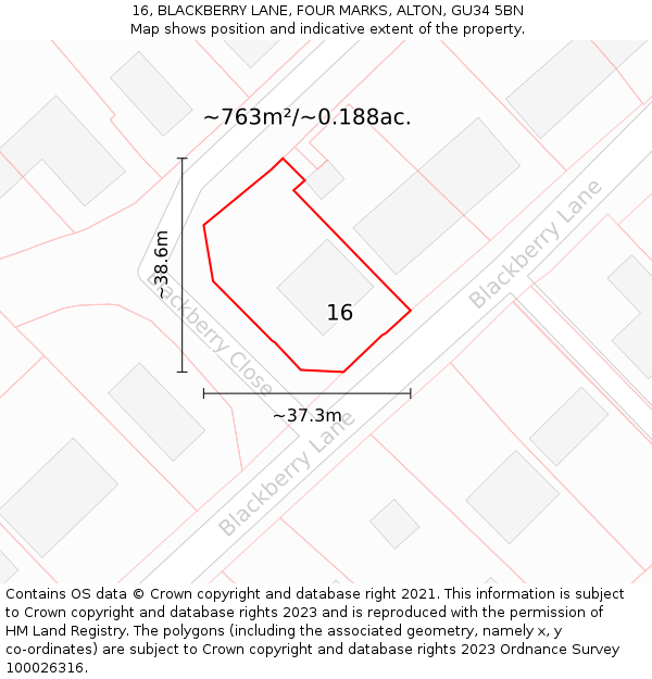 16, BLACKBERRY LANE, FOUR MARKS, ALTON, GU34 5BN: Plot and title map