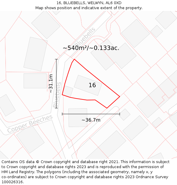 16, BLUEBELLS, WELWYN, AL6 0XD: Plot and title map