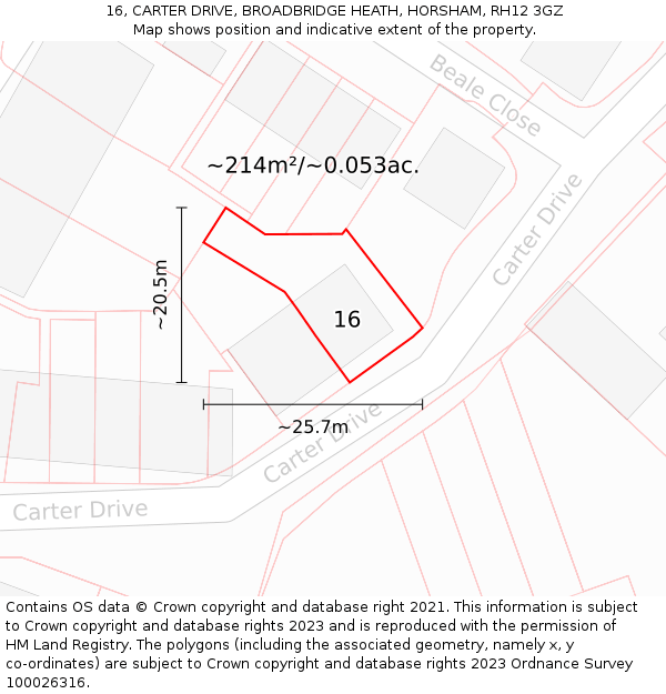 16, CARTER DRIVE, BROADBRIDGE HEATH, HORSHAM, RH12 3GZ: Plot and title map