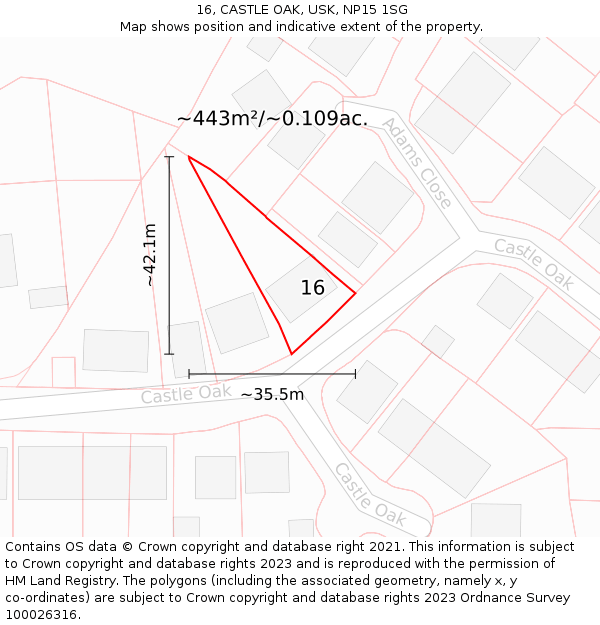 16, CASTLE OAK, USK, NP15 1SG: Plot and title map