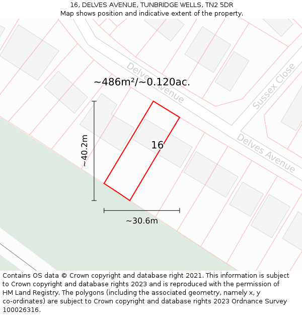 16, DELVES AVENUE, TUNBRIDGE WELLS, TN2 5DR: Plot and title map