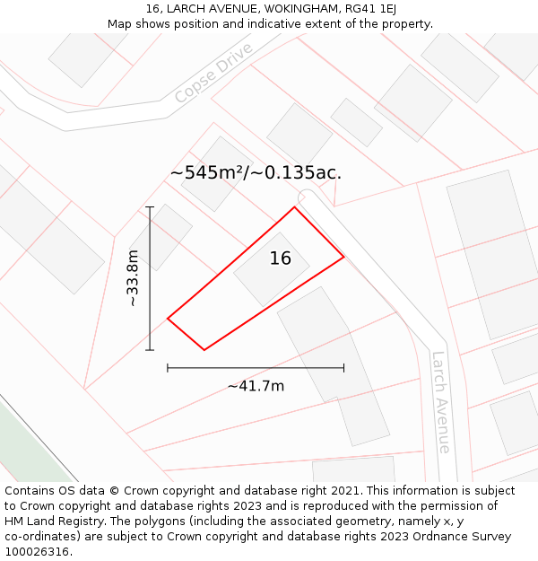 16, LARCH AVENUE, WOKINGHAM, RG41 1EJ: Plot and title map