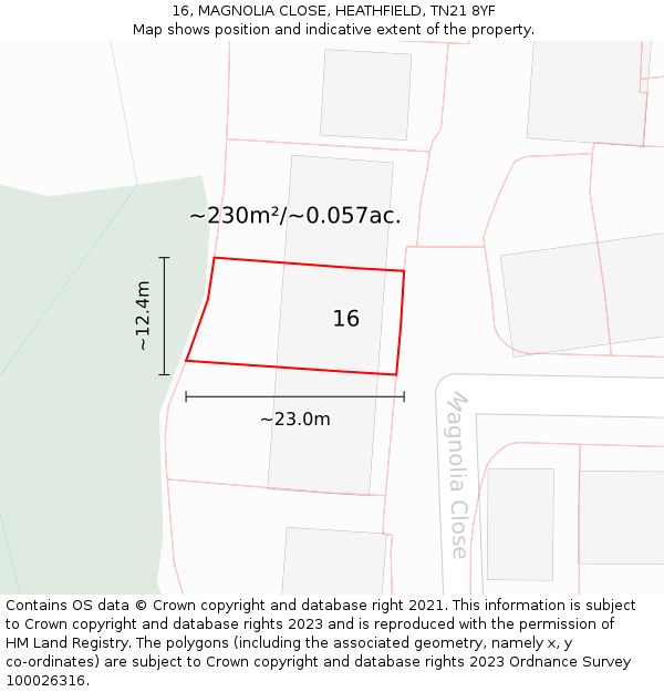 16, MAGNOLIA CLOSE, HEATHFIELD, TN21 8YF: Plot and title map