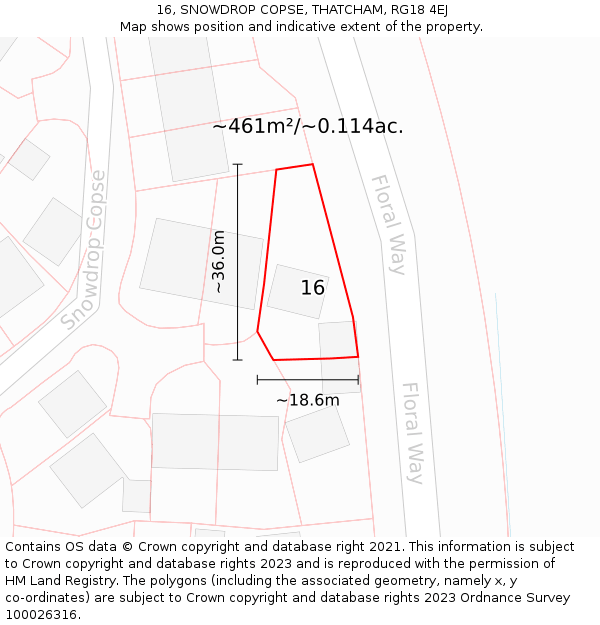 16, SNOWDROP COPSE, THATCHAM, RG18 4EJ: Plot and title map