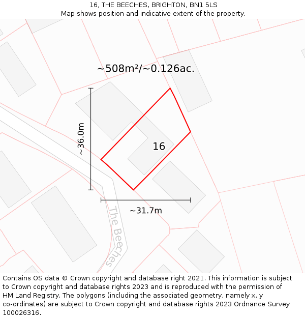 16, THE BEECHES, BRIGHTON, BN1 5LS: Plot and title map