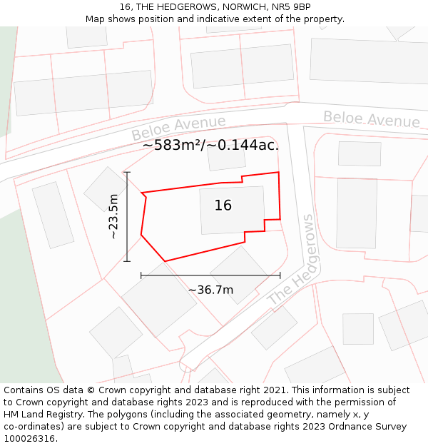 16, THE HEDGEROWS, NORWICH, NR5 9BP: Plot and title map