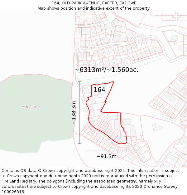 164, OLD PARK AVENUE, EXETER, EX1 3WE: Plot and title map