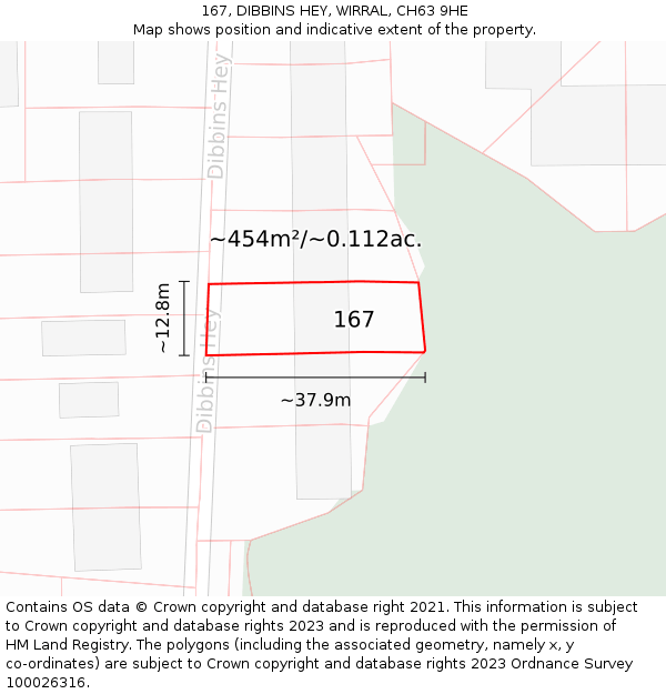 167, DIBBINS HEY, WIRRAL, CH63 9HE: Plot and title map