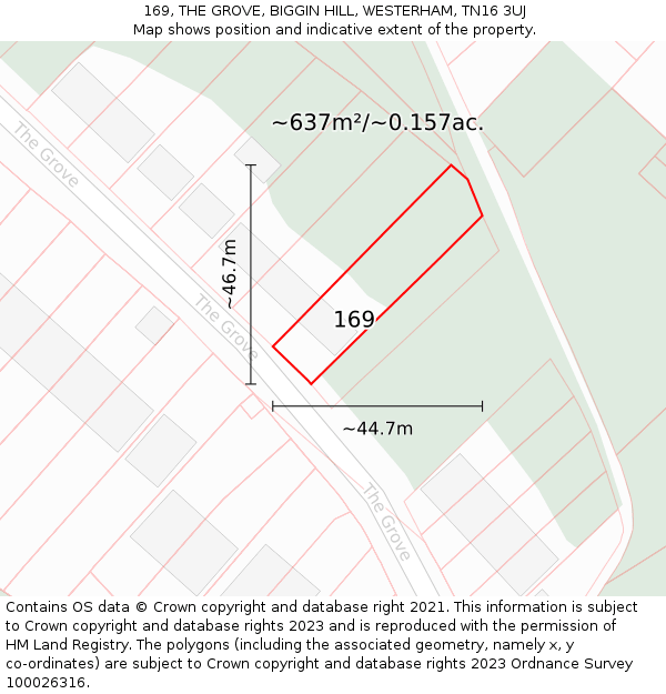 169, THE GROVE, BIGGIN HILL, WESTERHAM, TN16 3UJ: Plot and title map