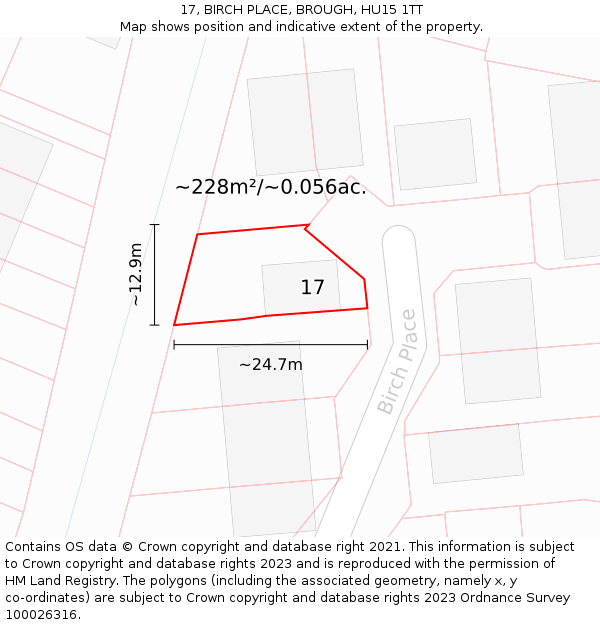 17, BIRCH PLACE, BROUGH, HU15 1TT: Plot and title map