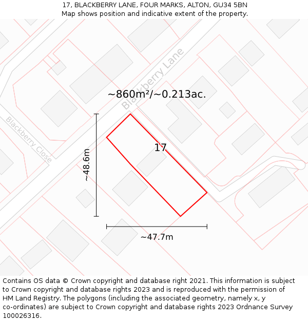 17, BLACKBERRY LANE, FOUR MARKS, ALTON, GU34 5BN: Plot and title map