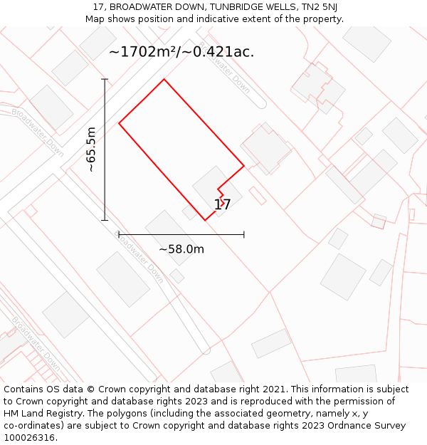 17, BROADWATER DOWN, TUNBRIDGE WELLS, TN2 5NJ: Plot and title map