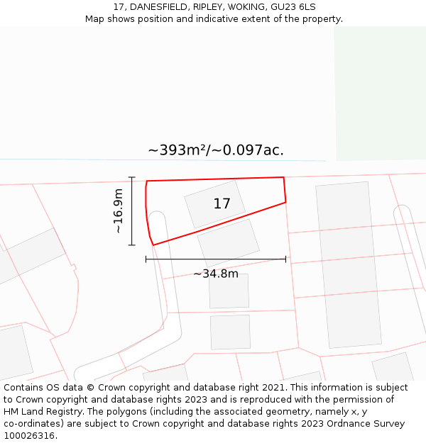 17, DANESFIELD, RIPLEY, WOKING, GU23 6LS: Plot and title map