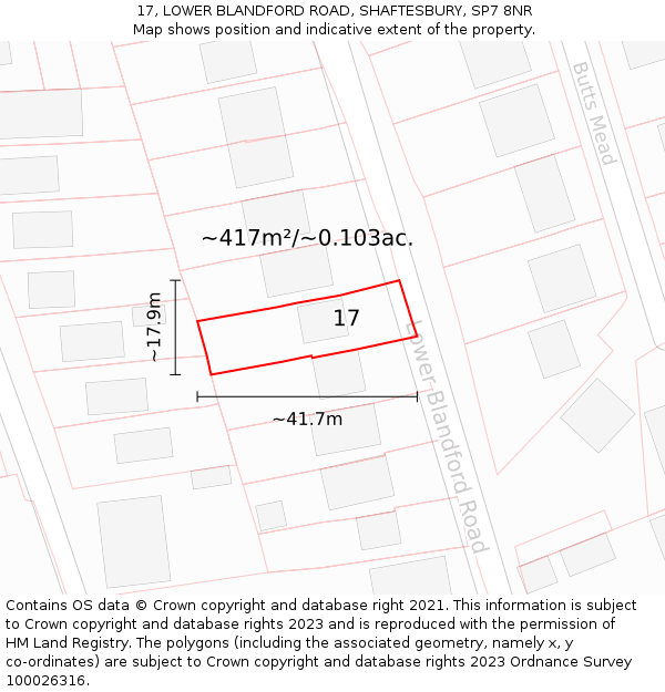 17, LOWER BLANDFORD ROAD, SHAFTESBURY, SP7 8NR: Plot and title map