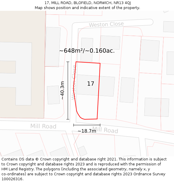 17, MILL ROAD, BLOFIELD, NORWICH, NR13 4QJ: Plot and title map