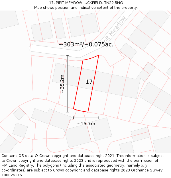 17, PIPIT MEADOW, UCKFIELD, TN22 5NG: Plot and title map