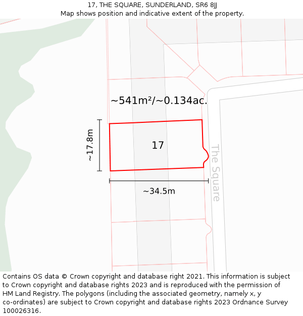 17, THE SQUARE, SUNDERLAND, SR6 8JJ: Plot and title map