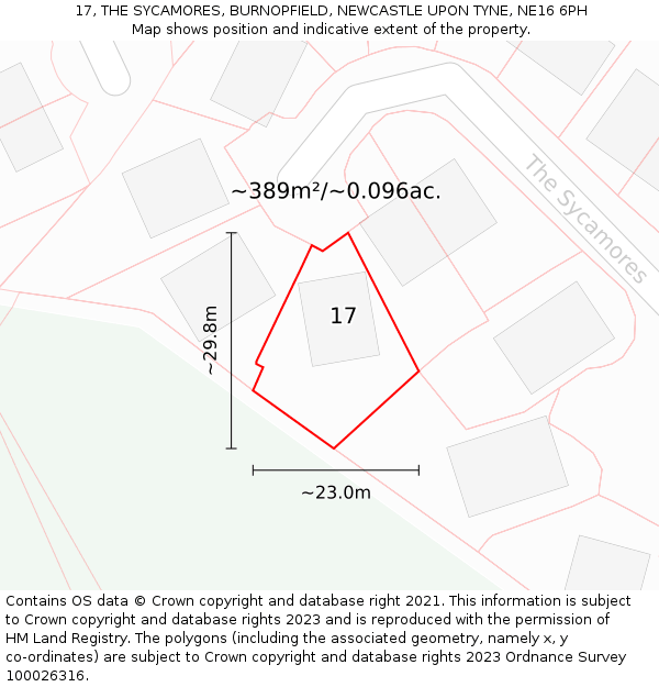 17, THE SYCAMORES, BURNOPFIELD, NEWCASTLE UPON TYNE, NE16 6PH: Plot and title map