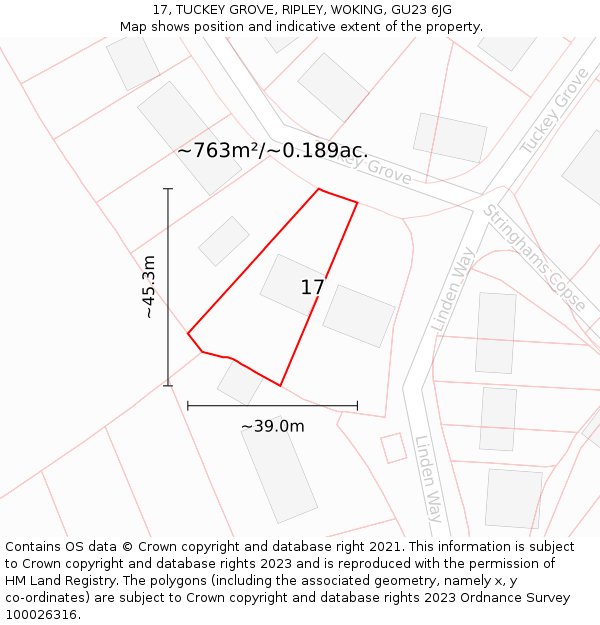 17, TUCKEY GROVE, RIPLEY, WOKING, GU23 6JG: Plot and title map