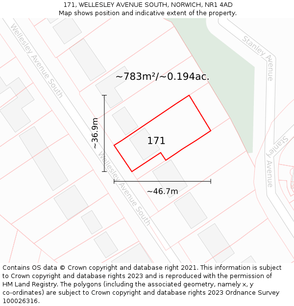 171, WELLESLEY AVENUE SOUTH, NORWICH, NR1 4AD: Plot and title map