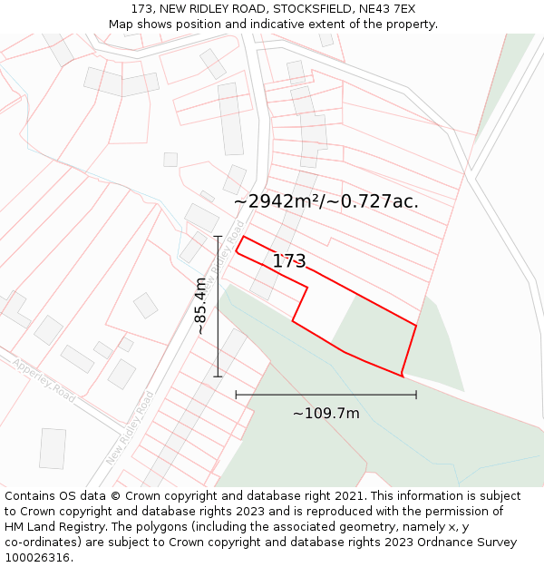 173, NEW RIDLEY ROAD, STOCKSFIELD, NE43 7EX: Plot and title map