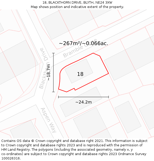 18, BLACKTHORN DRIVE, BLYTH, NE24 3XW: Plot and title map