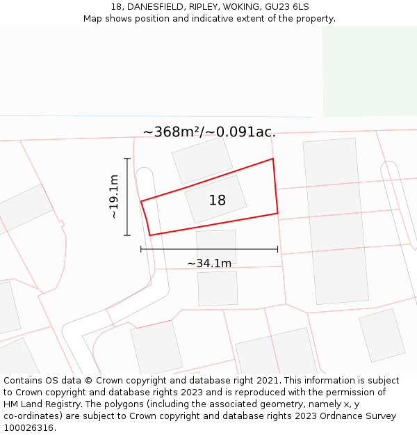 18, DANESFIELD, RIPLEY, WOKING, GU23 6LS: Plot and title map