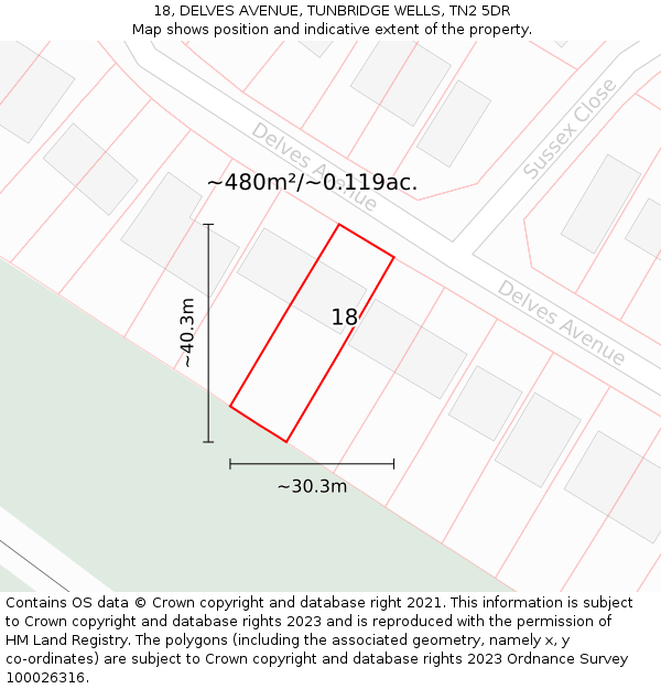 18, DELVES AVENUE, TUNBRIDGE WELLS, TN2 5DR: Plot and title map