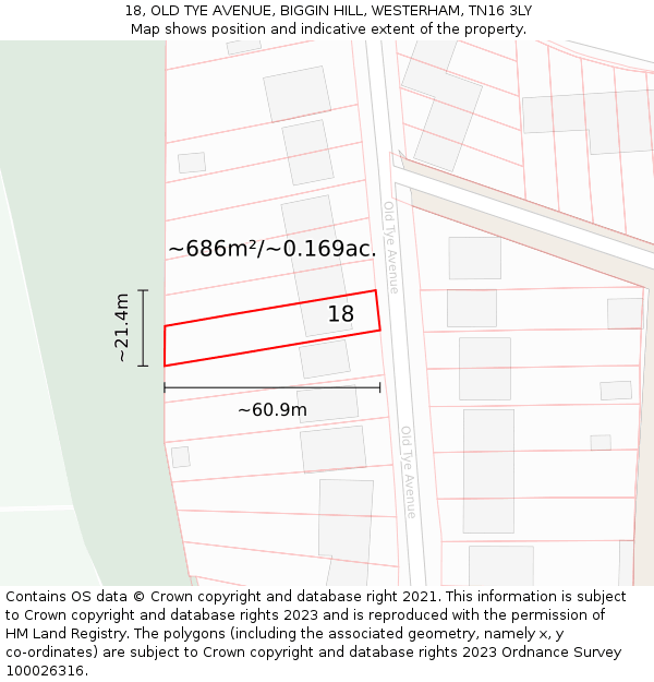 18, OLD TYE AVENUE, BIGGIN HILL, WESTERHAM, TN16 3LY: Plot and title map