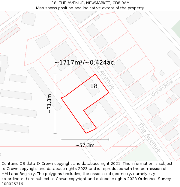 18, THE AVENUE, NEWMARKET, CB8 9AA: Plot and title map