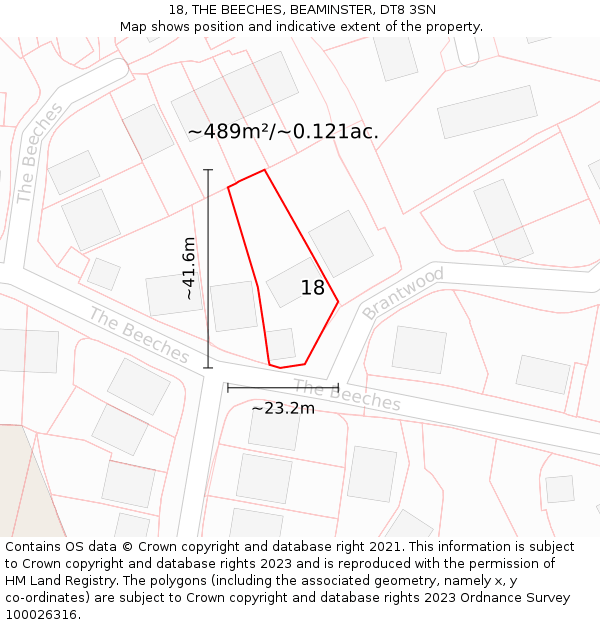 18, THE BEECHES, BEAMINSTER, DT8 3SN: Plot and title map