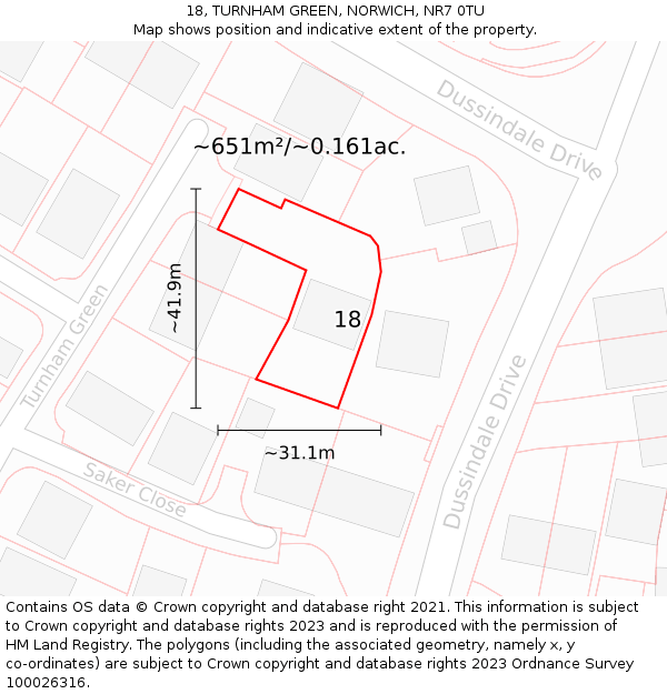 18, TURNHAM GREEN, NORWICH, NR7 0TU: Plot and title map