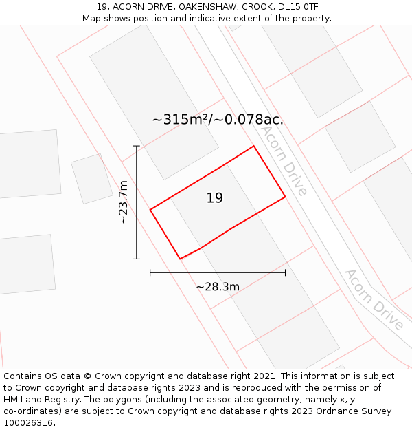 19, ACORN DRIVE, OAKENSHAW, CROOK, DL15 0TF: Plot and title map