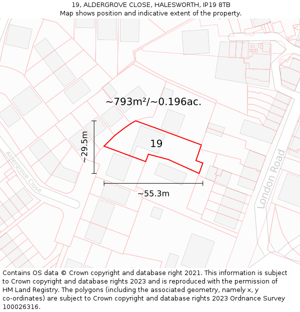 19, ALDERGROVE CLOSE, HALESWORTH, IP19 8TB: Plot and title map